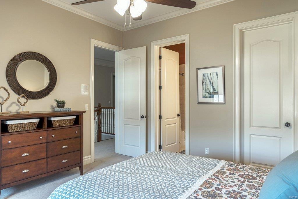 Appaloosa Way - Residential