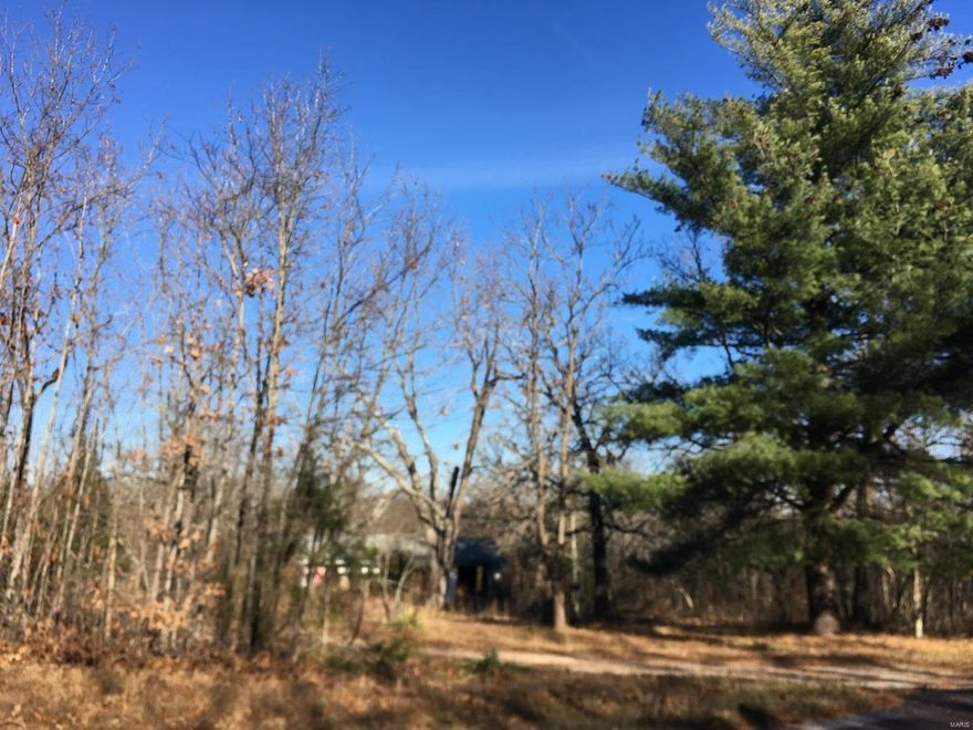 This property is mostly wooded and level with highway frontage. This property could be a beautiful spot for a new home or just a place to get away.  A very nice conservation lake is only about 3-4 miles from the property.   There is an old house structure on the property that is of no value, there is electric, a well and lagoon.