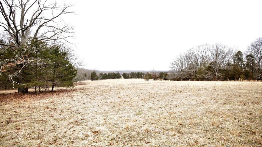 This is a beautiful piece of land. The 10.2 acres are partially wooded and partially cleared. A small pond is located on the North West corner of the property. An absolutely gorgeous site for a home/mini-farm in the country. Privacy and freedom to enjoy the outdoors and fresh air in your own little paradise. Sunrise School is less them five minutes away. Easy access to the property from Hardin Road and Blackwell Road.