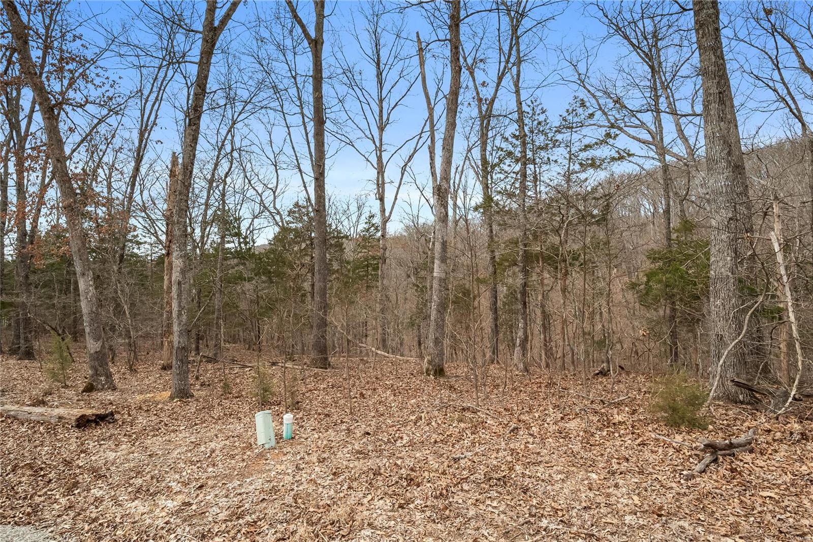 2537 Alpine Woods Drive