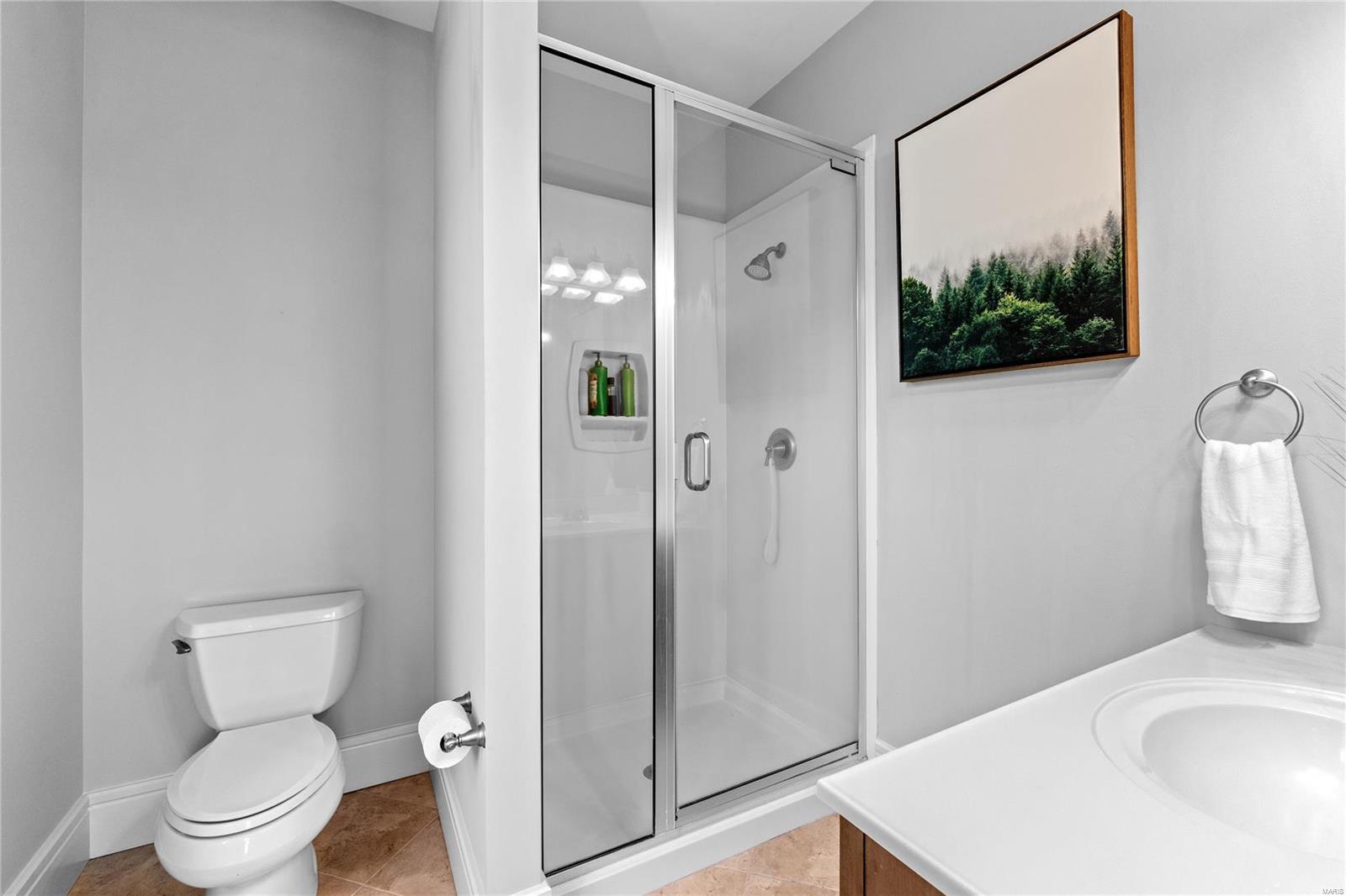 New Town At St Chas #1 - Residential