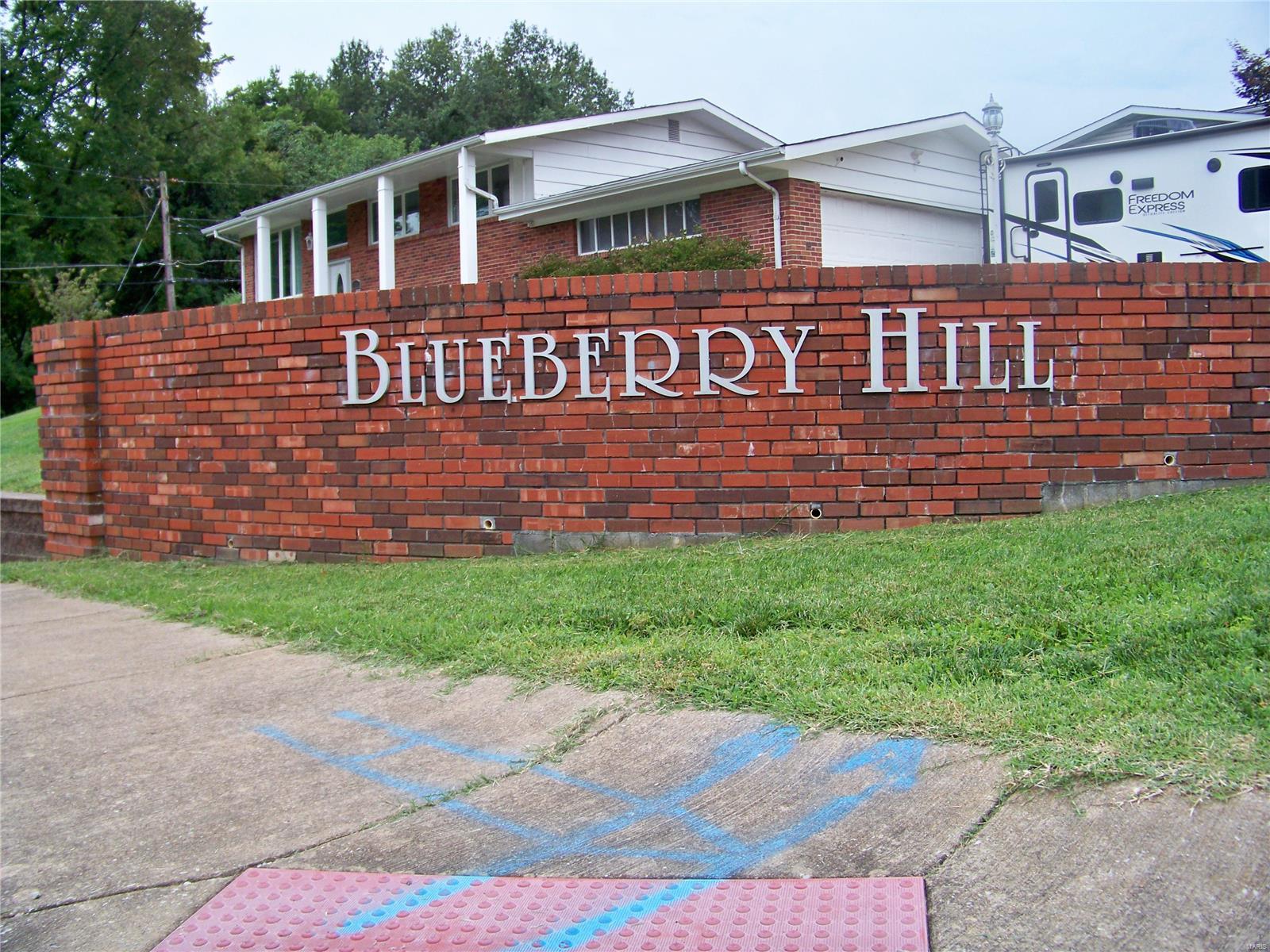Blueberry Hill - Residential