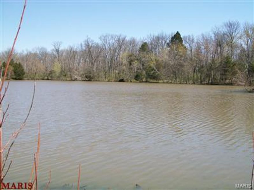 ENJOY A 5AC LAKE WITH A LOT OF WILD LIFE. GREAT FOR A WEEK END GETAWAY.
PRIVATE ESTATE, GOOD FOR HORSES WITH PLENTY OF POTENTAL PASTURE.
 25AC-30AC IN CROPS. CREEK RUNING THROUGH PROPERTY.
