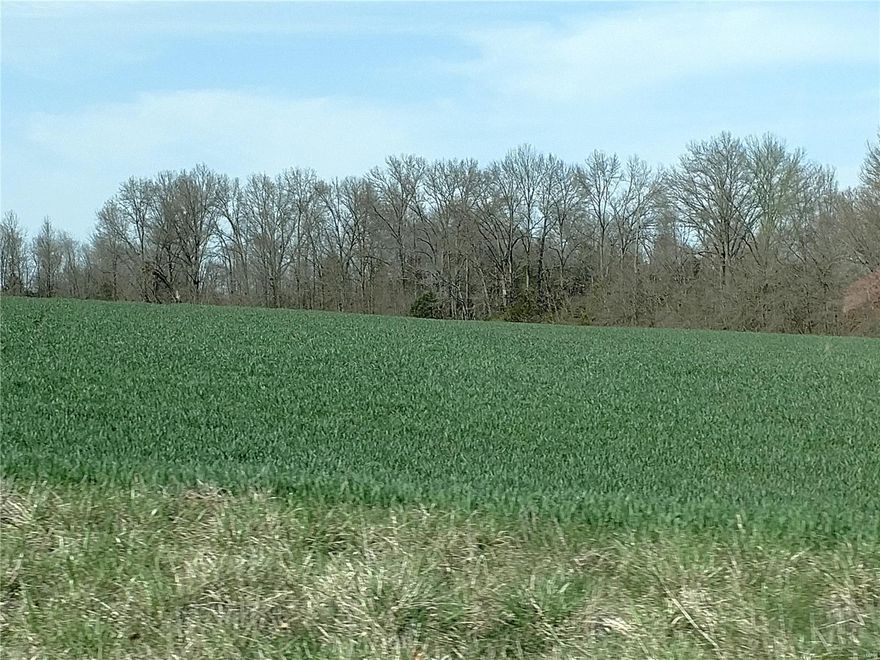 82 acres. Seller is willing to divide land into 3 tracks.  Bring your offer!  Ideal for developing a subdivision,  Beautiful homes in the area being built.  Seller requests you pay for the survey. This is an estate. Opportunity is knocking!  Your chance. Beautiful Land featuring some road frontage, some privacy, some flat, some hills, and more. 36 acres, 14 acres and 30 acres approx.. Vacant land. Owner agent