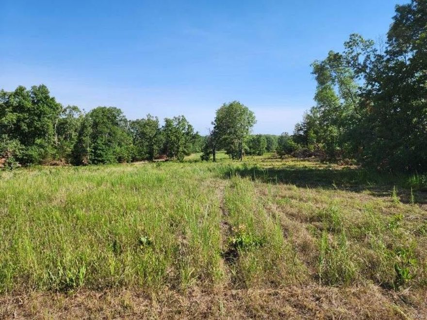 Off the beaten path 20.18 surveyed acres deep in Texas County, Missouri.  NO RESTRICTIONS!  This property offers county road frontage, electric on the property, combination of woods and open clearings, and best of all backs to National Forest Land.  Excellent build site for your dream home, cabin, or to park an RV.  Great area for hunting and wildlife viewing.  Additional acreage and owner financing available.