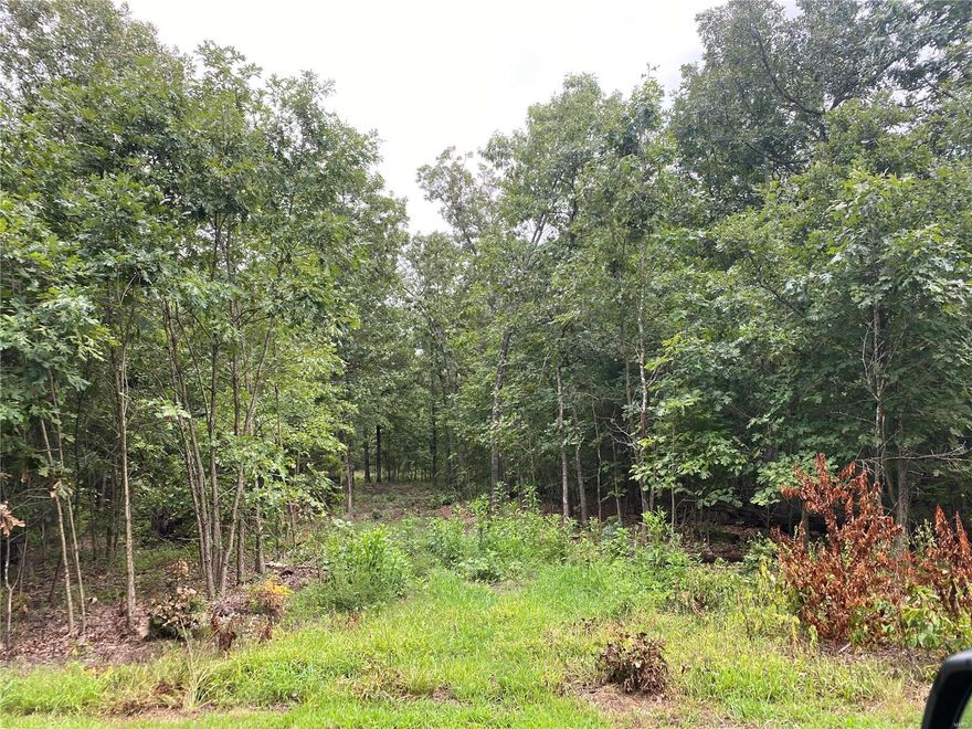 10.83 Acres in Leasburg, with easy access to Hwy 44. Lot #6.  Driveway and a beautiful building site have been cleared.  $100 per year road fee.  Electric is located along Wiese View Dr.  Lot is level with a wet weather creek. The Plot map for Wiese View is attached in the pictures, it is lot #6.  There is a for sale sign marking each end of the property line alongside the gravel road.