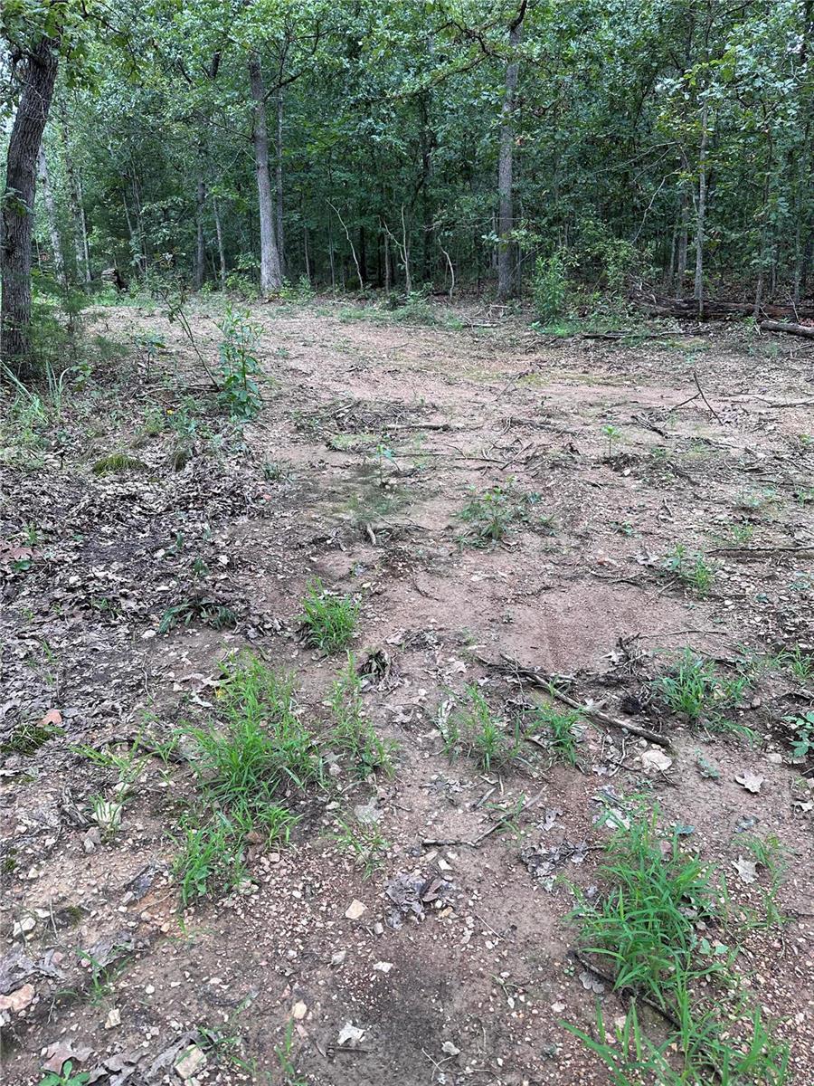 Wiese View Sub - Farm