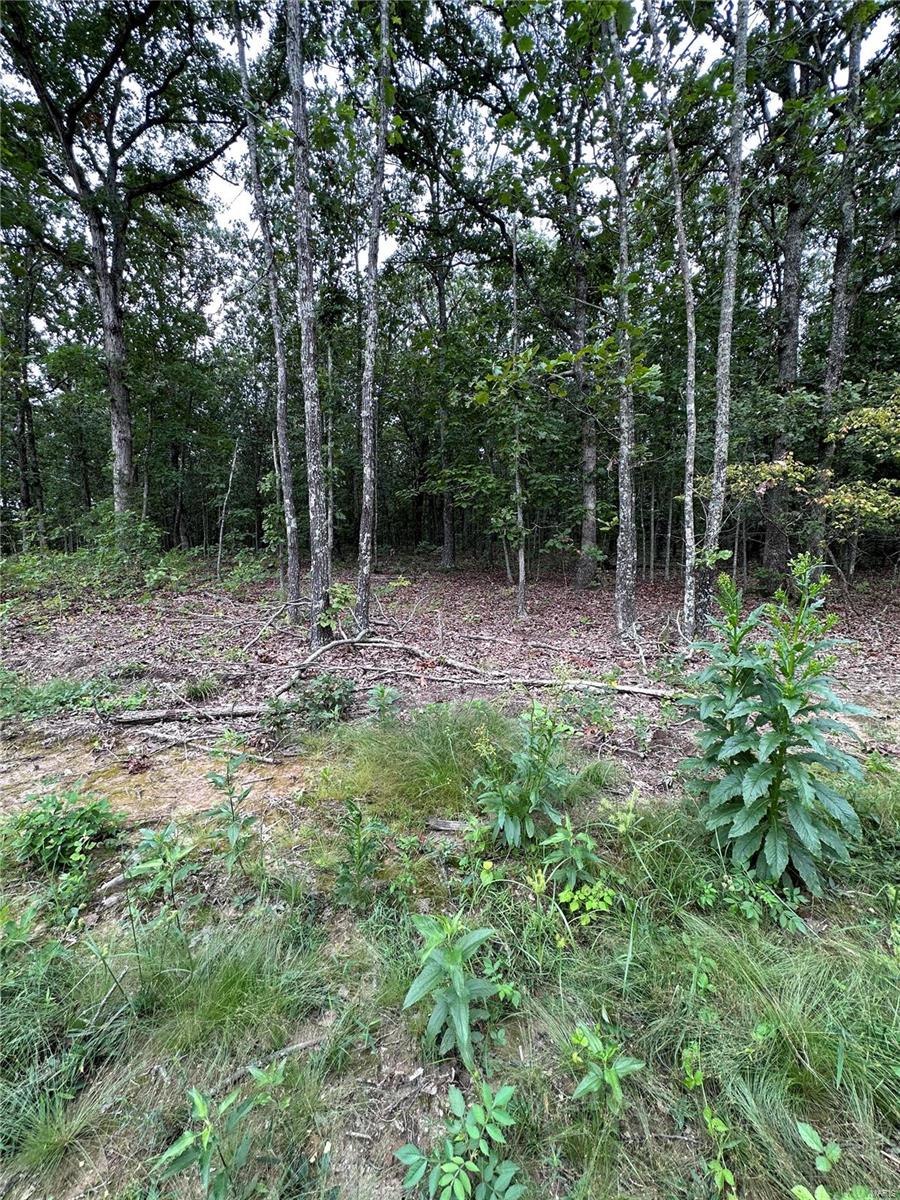 Wiese View Sub - Farm