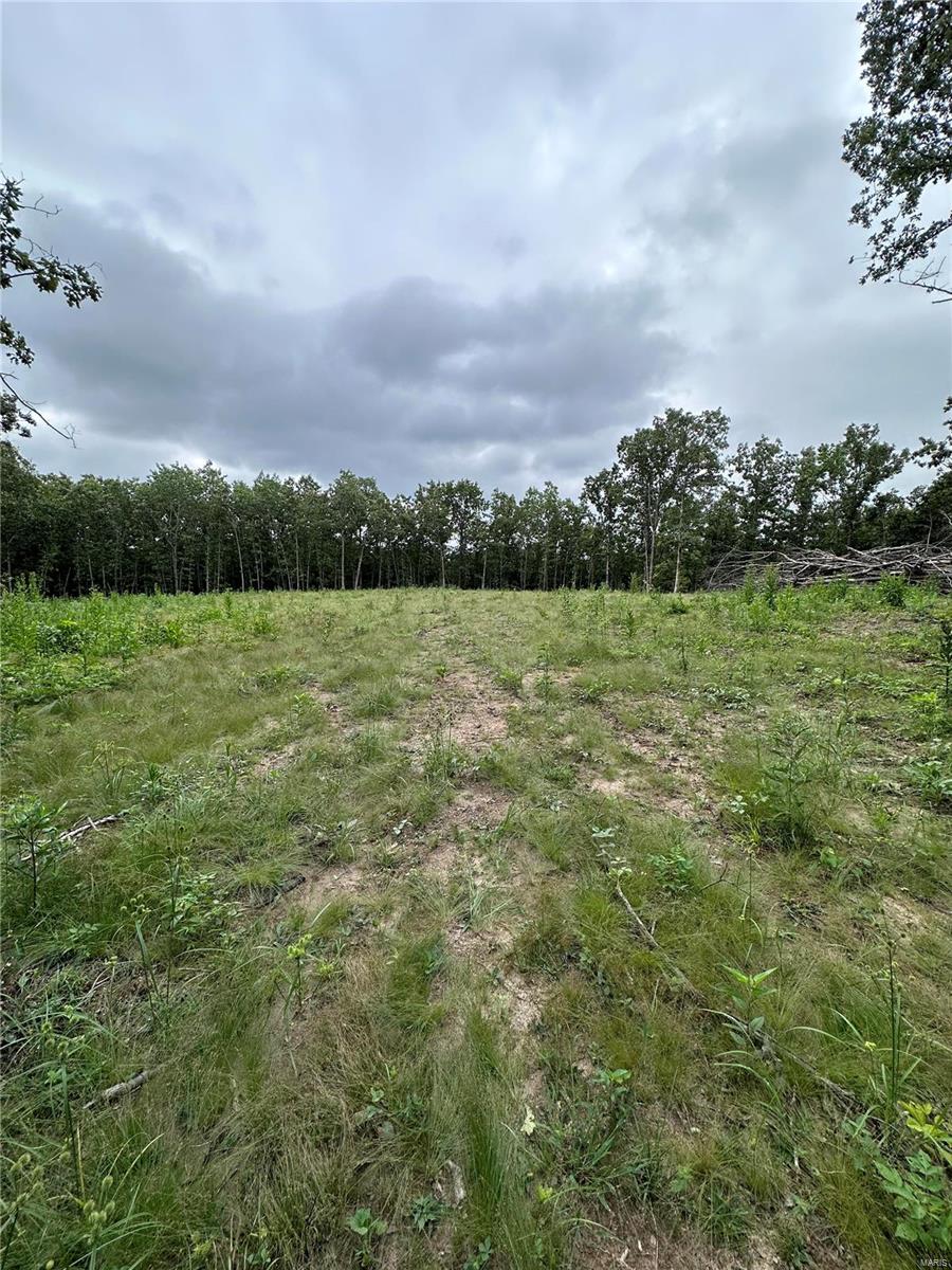 Wiese View Sub - Farm