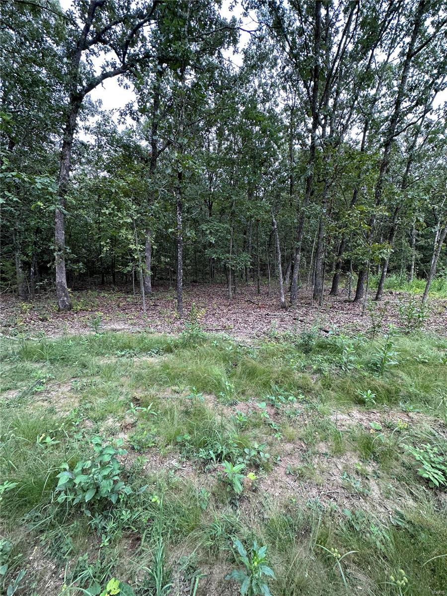 Wiese View Sub - Farm