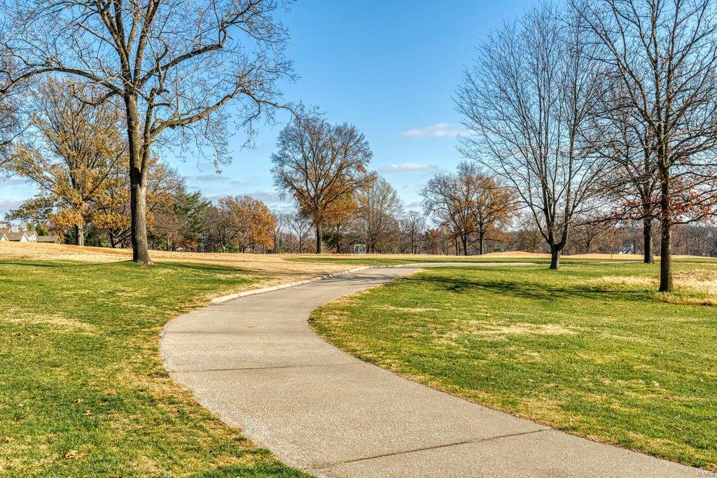 Villas At Meadowbrook The - Residential