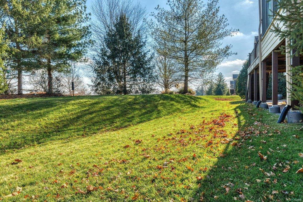 Villas At Meadowbrook The - Residential