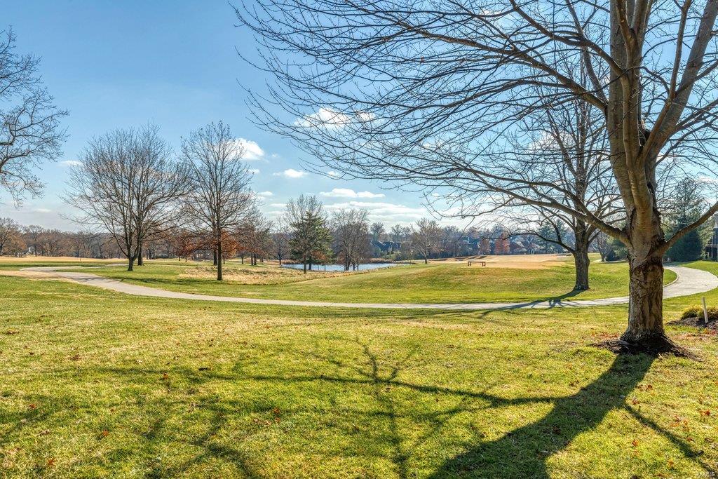 Villas At Meadowbrook The - Residential