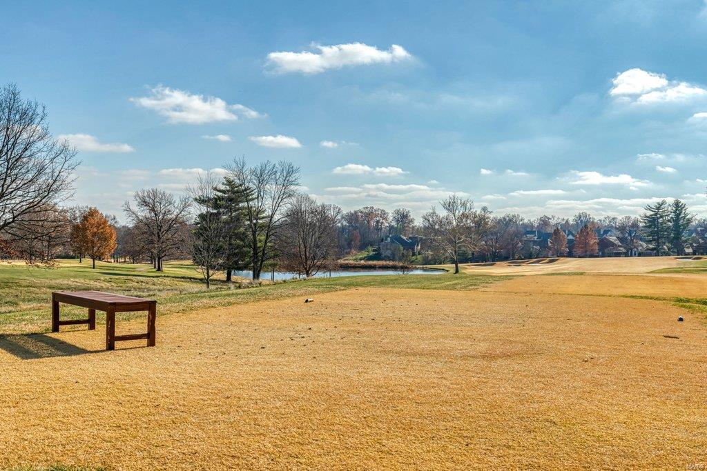 Villas At Meadowbrook The - Residential