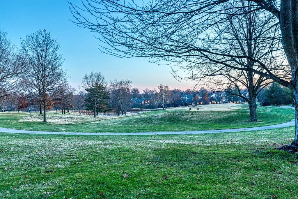 Villas At Meadowbrook The - Residential