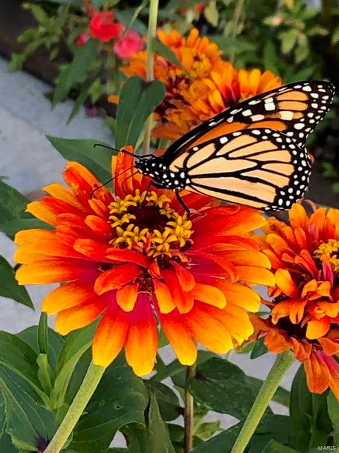 Turtle Creek - Residential