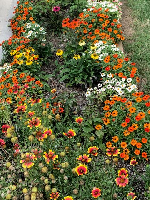 Turtle Creek - Residential