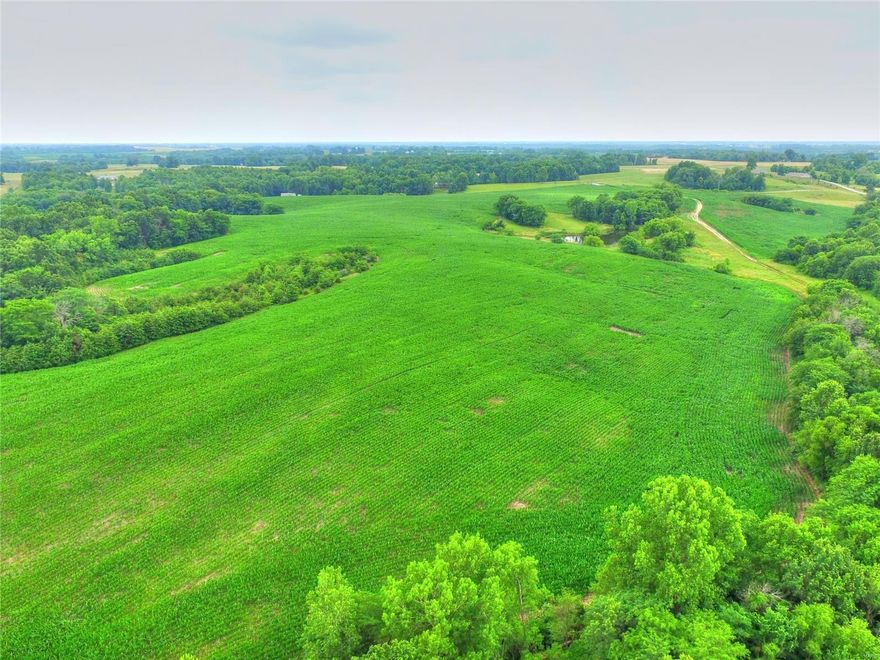 Land investment & income meet recreational enjoyment & trophy hunting on this beautiful farm! These 264.3 surveyed acres are located in Scotland County and just west of Memphis MO. The farm boasts 183.8 acres tillable that include large bottom fields along the N Fabius River, narrow "staging" fields along the ridge sides, and rolling ridgetop fields surrounded by timber. The timber hillsides and draws are ideal bedding areas for both deer and turkey. This farm has county road frontage, and there is a gated interior road that provides good access to each area of the farm yet retains the extreme privacy. For those looking to build a weekend cabin... there's a beautiful ridge top not far from the entrance that would make an excellent building site overlooking the pond and much of the farm. Schedule your appointment today, because this one is a keeper for those who enjoy the outdoors!