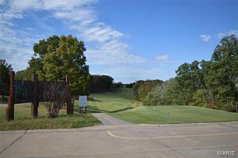 Raintree Lot 96 & 97 - Residential