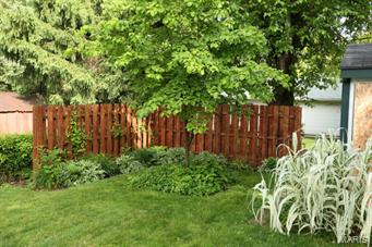 Cardinal Wood #6 - Residential