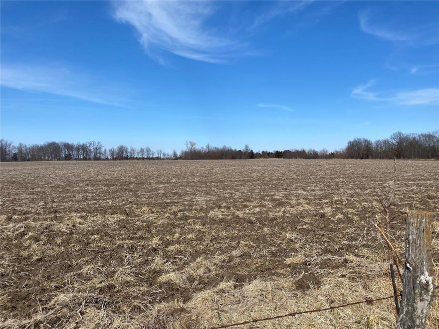 Highly productive tillable farm! 196 +/- acres, 170+/- tillable, good fencing, $7000/acre