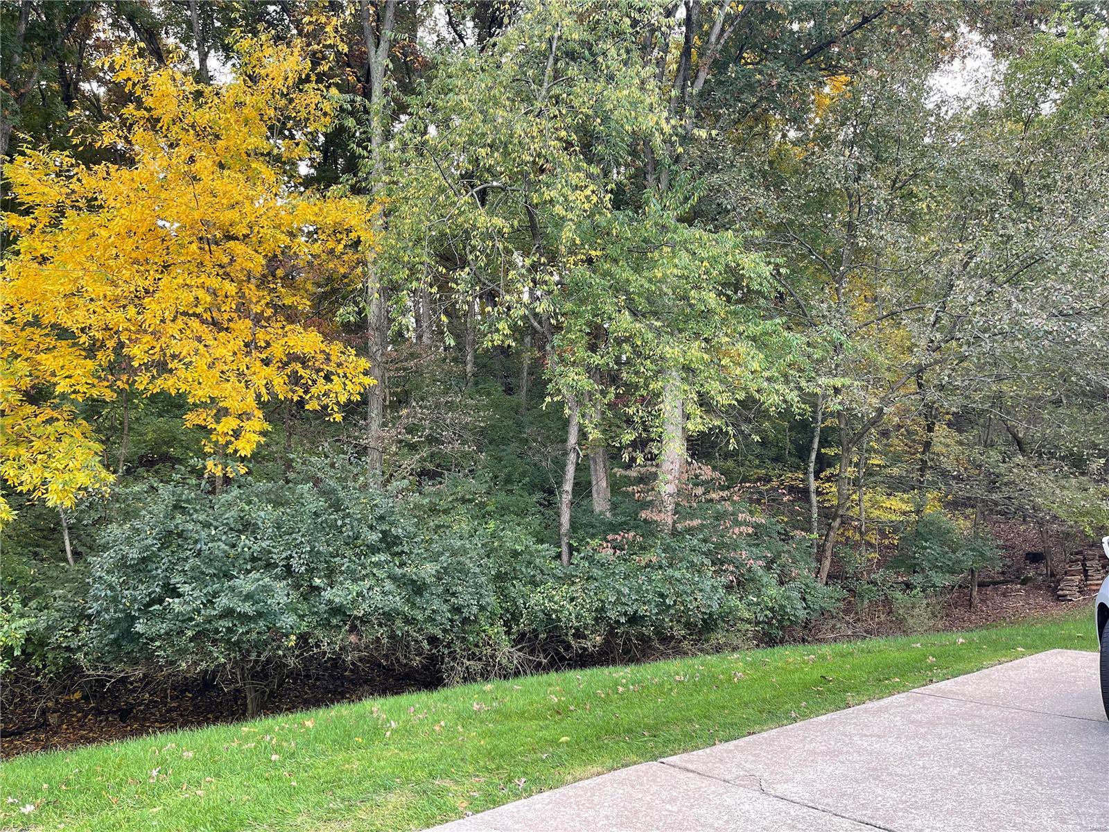 Pointe Clayton - Residential