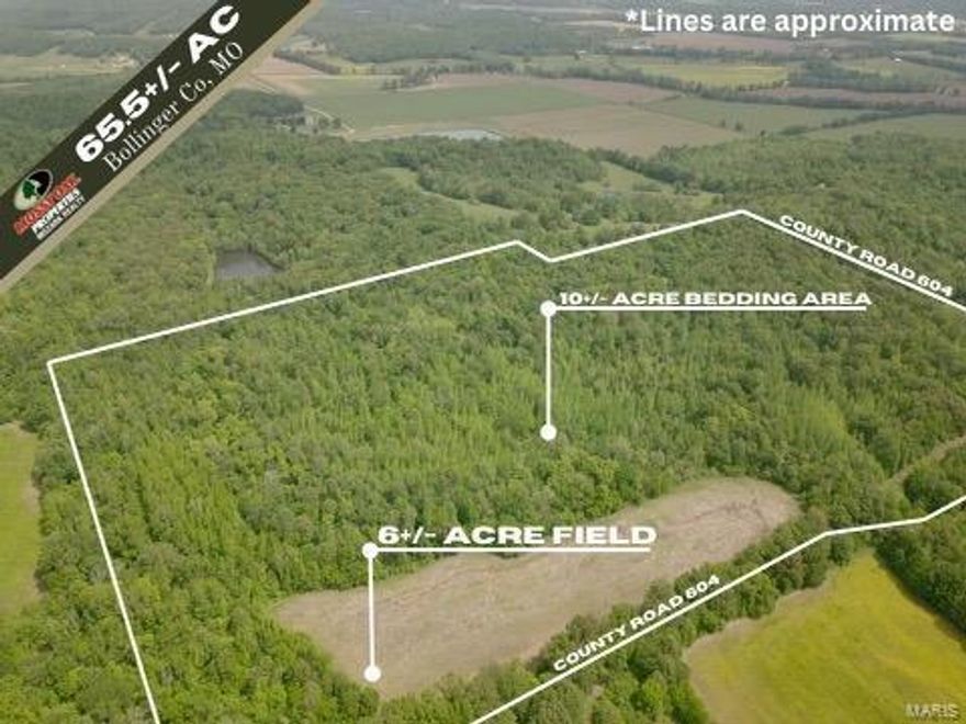 65.5 +/- acres just north of Advance, in Missouri's Bollinger County. This property features outstanding hunting opportunities, as it is located directly in the middle of some of Southeast Missouri's most productive public and private hunting ground. Deer and turkey numbers are incredible, and the adjacent government land allows boundless opportunities for waterfowl as well. Though it is primarily hardwood timber, this farm also features an almost 6 acre tillable, bottom field. Additionally, there is over 2000 feet of county road frontage, multiple building sites, and electric along the southern boundary of the farm.

If you are looking for a raw hunting farm that you can manipulate and make your own, this place is a must see!