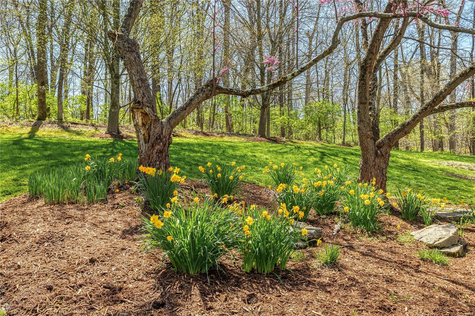 Lewis Spring Farms - Residential