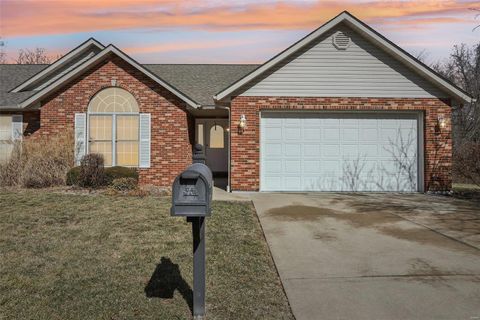 7735 Baxter Drive, Belleville, IL 62223 - MLS#: 25007954