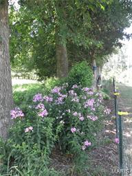 Cedar Ridge Estate - Residential