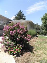 Cedar Ridge Estate - Residential