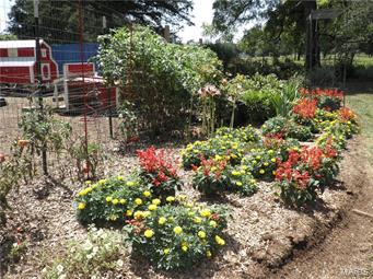 Cedar Ridge Estate - Residential