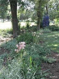 Cedar Ridge Estate - Residential