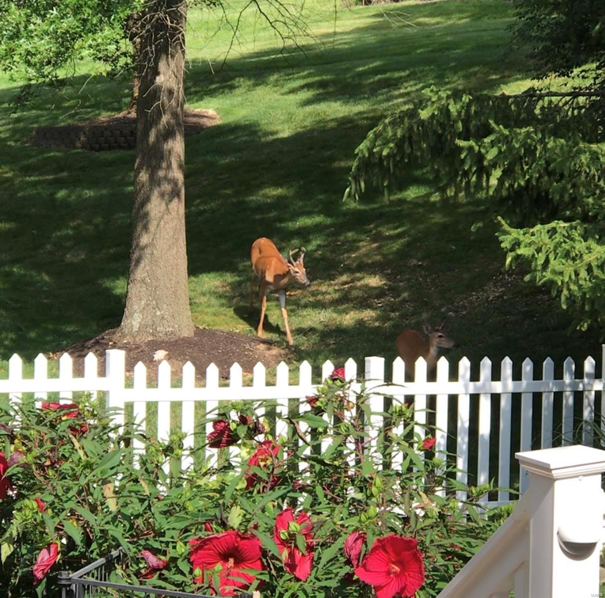 Timber Ridge Estates - Residential