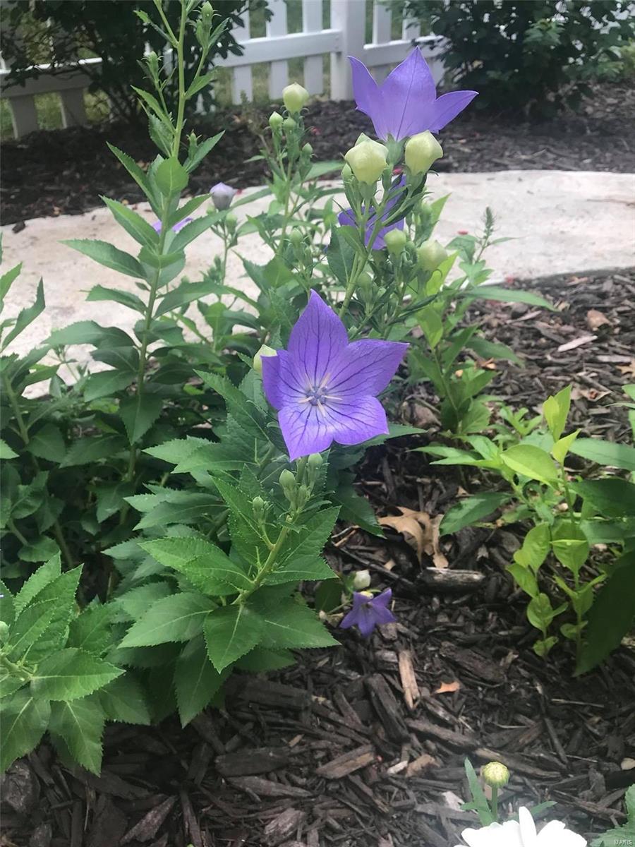 Timber Ridge Estates - Residential