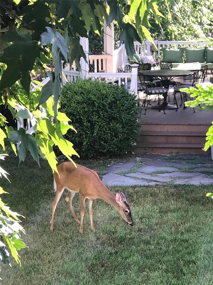 Timber Ridge Estates - Residential