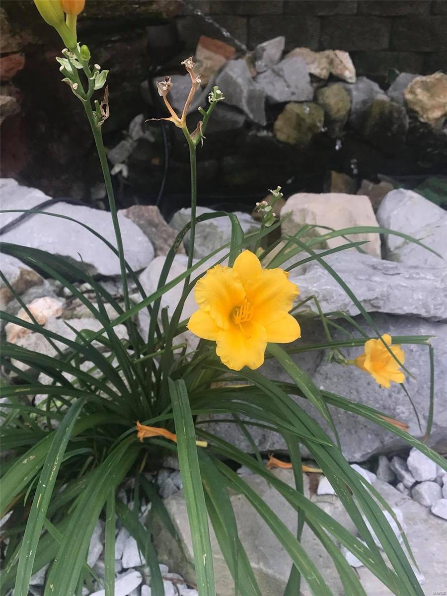 Timber Ridge Estates - Residential