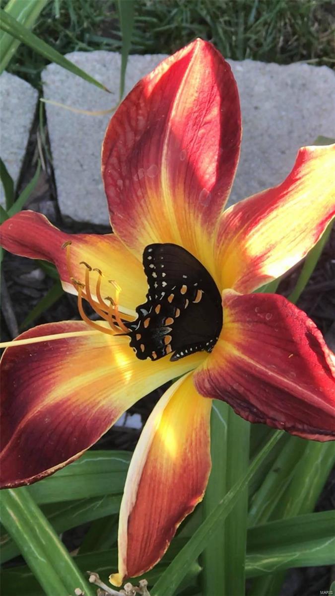 Timber Ridge Estates - Residential