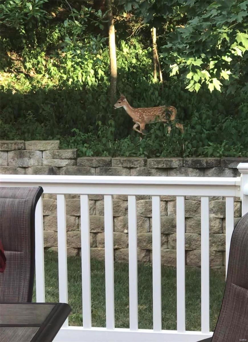 Timber Ridge Estates - Residential