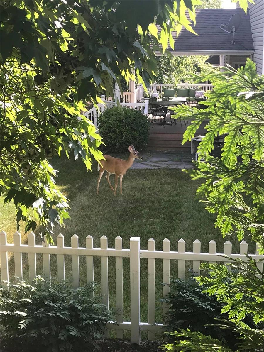 Timber Ridge Estates - Residential