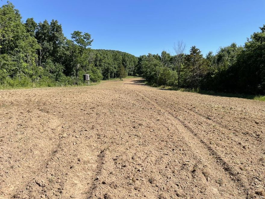 112.4 acres located in the Heart of Southern Pike County!! This prime hunting tract for sale sits along Hwy WW, less than 10 minutes from Eolia and Hwy 61. The property consists of diverse habitats offering hardwoods, cedar thickets, brushy timber, established food plots, a small pond, and Ramsey Creek rolls along the front of the property. The excellent neighborhood is known for producing some of the BIGGEST BUCKS in Pike County. The property has an old house being sold “as is” at no value, but ELECTRIC and COUNTY WATER are on site!! Build a weekend getaway or a primary residence. Existing trails/roads for accessing the property. Give this one a look if you are looking for a recreational tract not far from Wentzville. The property has been surveyed. Deed Restrictions to be recorded at closing: No mobile or modular homes. No hogs. No junkyards. No derelict unlicensed vehicles. No subdivisions.