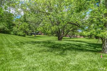 Thornhill Estates - Residential