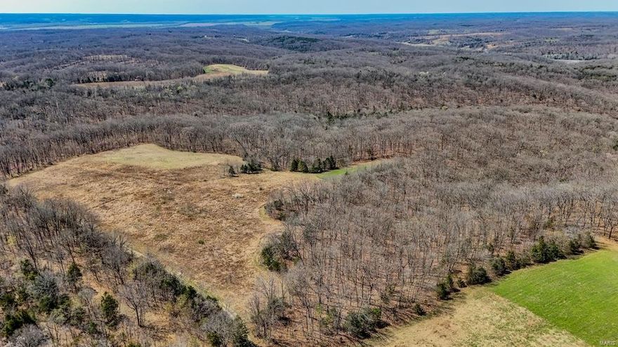 AVAILABLE FOR PURCHASE FOR THE FIRST TIME! If you have ever desired to own a large hunting property that is absolutely loaded with deer, turkeys, and small game then take a hard look at this large tract! The farm mostly consists of big ridges full of hardwood timber — home to a plethora of big deer and thundering toms. There are nice cedar patches scattered throughout that offer thermal cover, and there is plenty of marketable timber. A nice road system that meanders along the ridges provides great access all throughout. Strategically placed food plots are already established, but there is plenty of room for more food. A nice pond makes for a great watering hole, but there are plenty of lake sites if someone wanted to build a big lake, or, numerous lakes. Very secluded and peaceful, and it feels like you are in a whole different world once you get back into the farm. Access is via an easement that comes off of Hwy D. This farm is priced to sell.