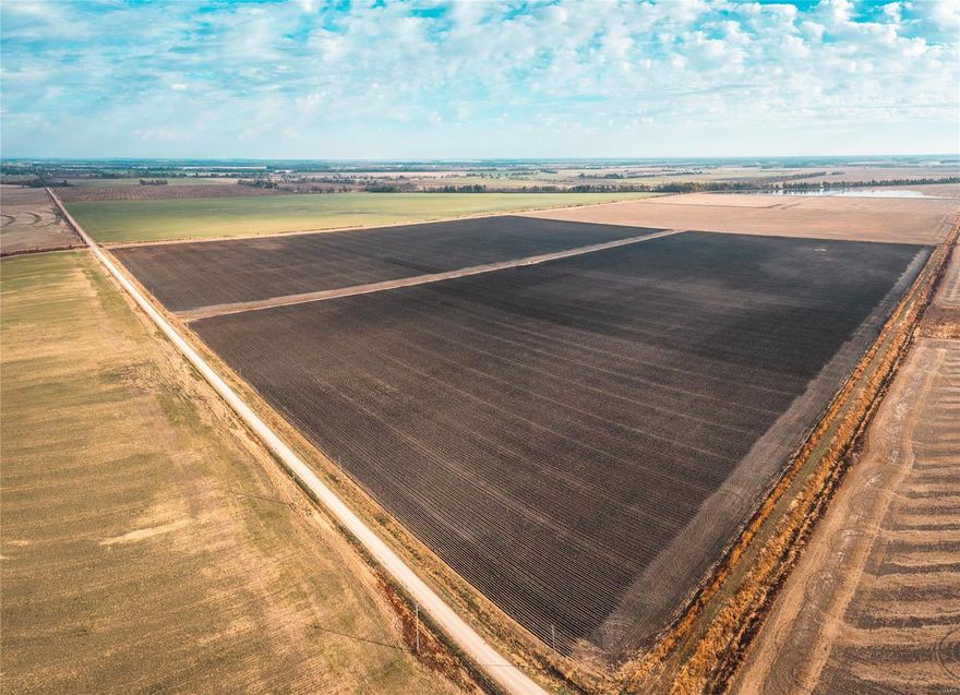 Great opportunity to purchase a high yielding, high bases, Southeast Missouri fertile row crop and waterfowl tract located in the heart of the Mississippi flyway. This 140+ acre New Madrid County Ag farm has excellent ag production as well as great SEMO waterfowl hunting opportunities. FSA Crop Bases are; Rice – 48.62, Soybeans – 95.67, and Wheat - 12.86. In recent years this farm has been cash rented and has primary been planted in beans or corn with yields ranging from 40-50 bu. for beans and around 175 bu. for corn. This farm has been setup and graded for Rice production and the four 16” wells provide easy irrigation and flooding options which greatly enhance the yield potential and hunting possibilities surrounding the waterfowl pit blind. The soils range from primary Roellen Silty Clay to Sharky Silty Clay Loam and Sharky Clay. Current Lease income is $28,000 per year with an additional $2,500 per year for the waterfowl blind lease.