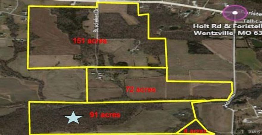 This lot is part of 322 acres on Holt & Foristell Road