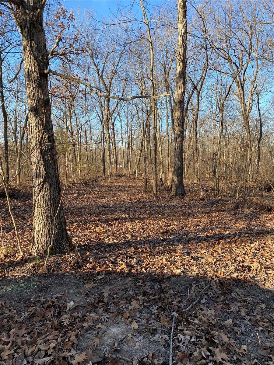 Heady Springs - Land