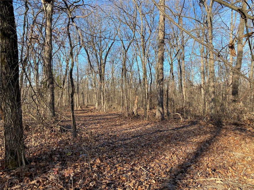 Beautiful, wooded acreage located in unincorporated Southern Lincoln County.  This property offers privacy and seclusion, along with mature trees,  in an established subdivision, with minimal restrictions, and blacktop road frontage.  Easy access to Hwy U. Additional Rooms: In Platted Subdv.