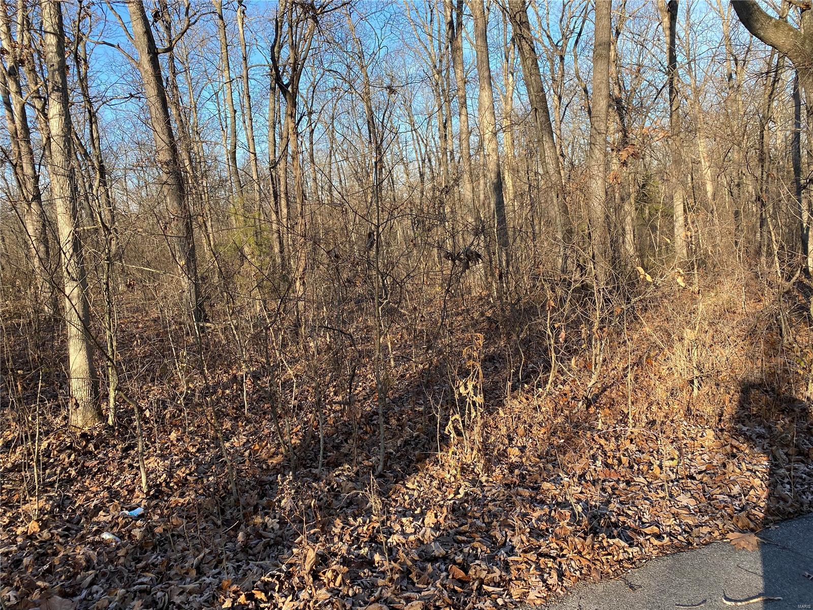 Heady Springs - Land