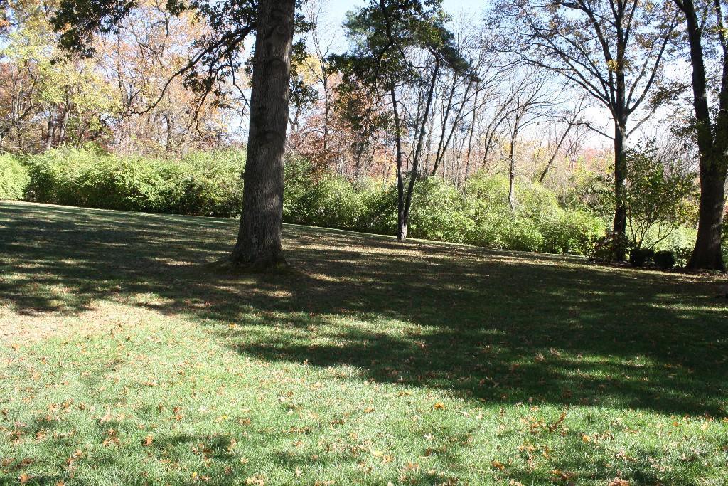 Huntleigh Woods - Residential