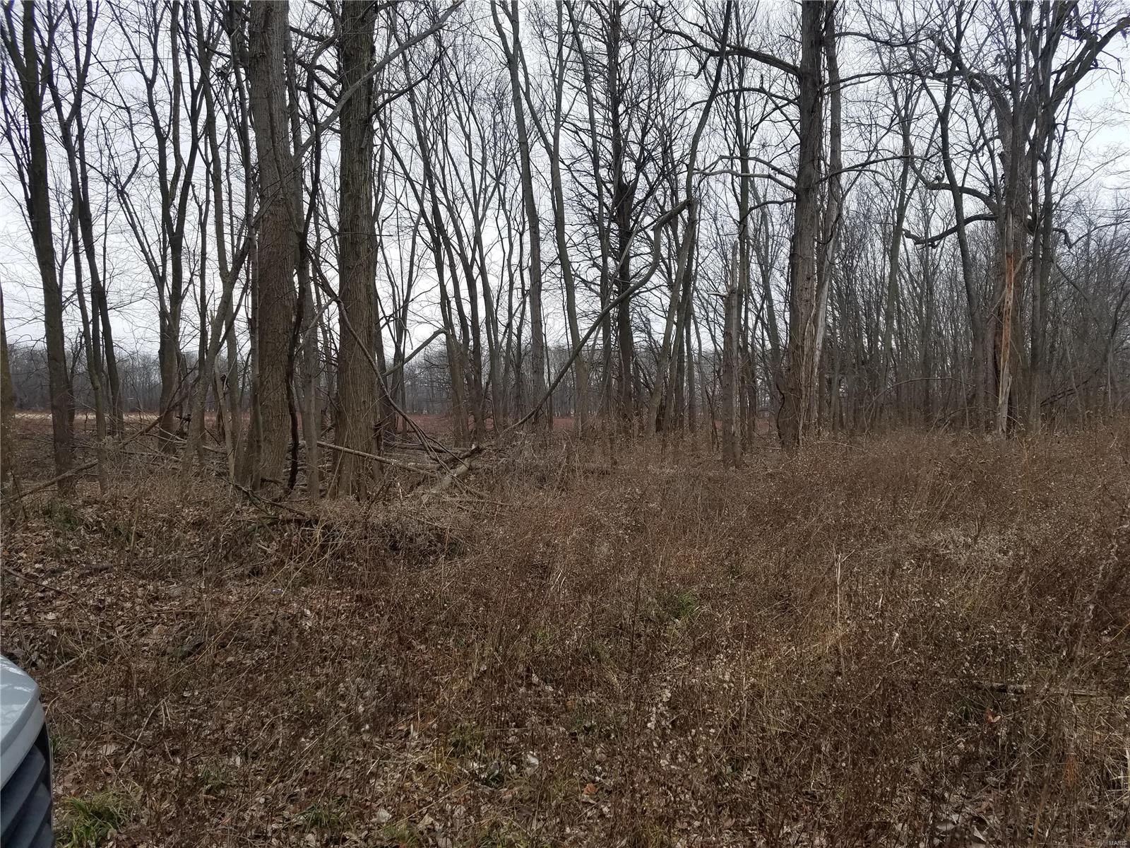 David Nicholson Sub - Farm